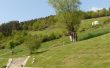 yourte-pleine-nature